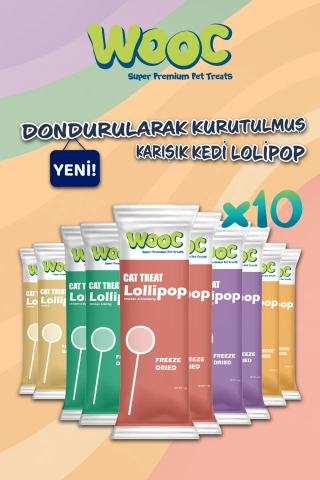 Freeze-Dried Assorted Delicious Cat Lollipop Treat 10-Pack